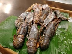 -北京王府井希尔顿酒店·万斯阁西餐厅