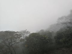 -广州市石门国家森林公园