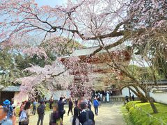 -醍醐寺