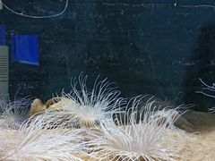 -秦皇岛新澳海底世界