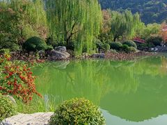 -华清宫景区