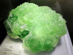 -湖南省地质博物馆