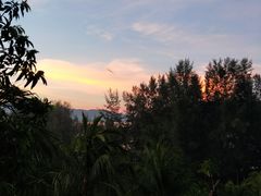 -王权免税店(普吉市区店)