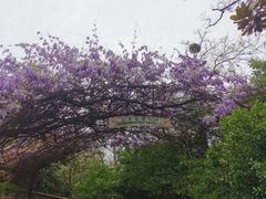 -烟台山景区