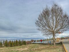-青海湖国家重点风景名胜区