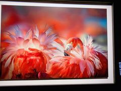 -罗红摄影艺术馆