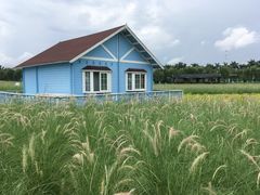 -广州花之恋城堡酒店