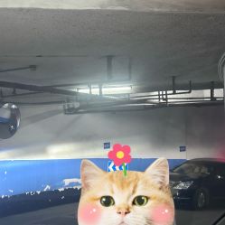 -富力儿童世界(富力广场店)