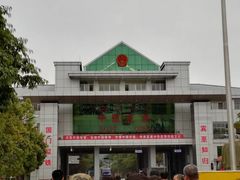 -打洛口岸