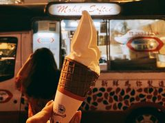 -富豪雪糕车流动点(尖沙咀店)