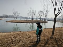 -东郊湿地公园