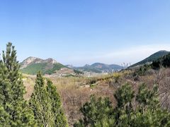 -佛慧山