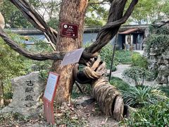 -绮园景区