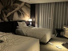 -国家会议中心大酒店