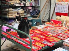 -韩城古城美食街