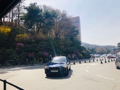 -新罗免税店(首尔总店)