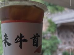 -牛首山文化旅游区