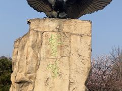 -北京鹫峰国家森林公园