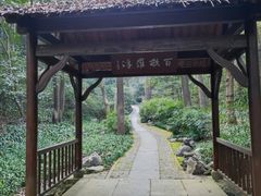 -杭州植物园
