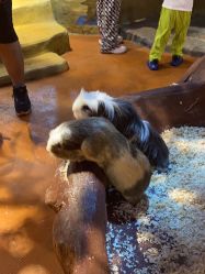 -奇幻萌宠部落(映月湖环宇城店)