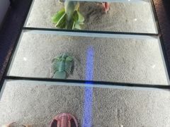 -中国地质大学逸夫博物馆