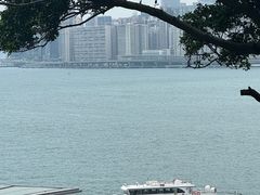 -九龙公园