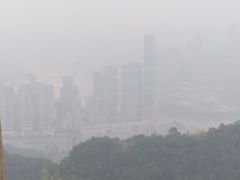 -大金鹰园