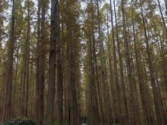 -上海怡沁园度假酒店