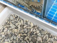 -宾朋海鲜美食餐厅·特色美食(兴海路店)