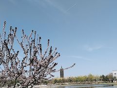 -西海子公园