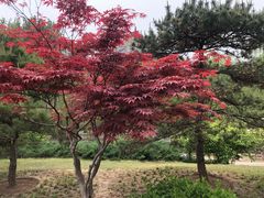 -元大都城垣遗址公园