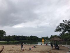 -上海佘山世茂艾美酒店