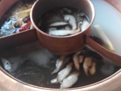 -滇釜火锅·能喝汤的火锅(车公庄店)