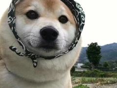 -济南方特东方神画