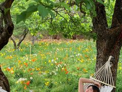 -名花谷生态庄园