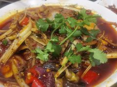 -小杨翘脚牛肉