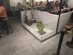 -莓超疯