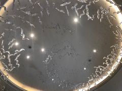 -芽庄喜来登水疗酒店