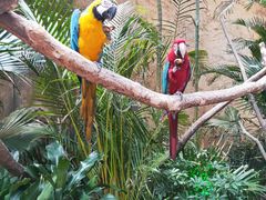 -杭州开元森泊度假乐园