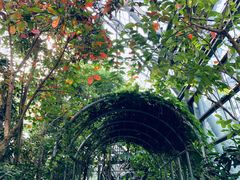 -南山植物园