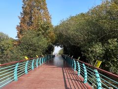 -上海吴淞炮台湾国家湿地公园