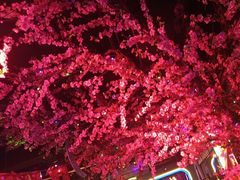 -路边边.炒菜烧烤.音乐餐厅(良乡长虹店)