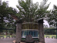-万绿园