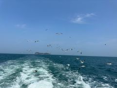 -海驴岛(荣成市)