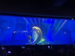 -海合安武汉极地海洋公园