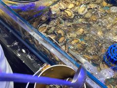 -五月罗马海鲜烤肉自助餐厅(印象城店)