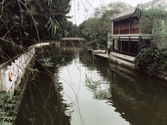 -荔湾湖公园