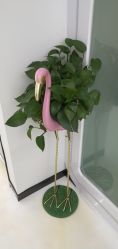 -星摇篮月子中心(市妇幼店)