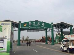 iphone_upload_pic-荷兰花海