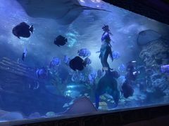 -南昌海洋公园